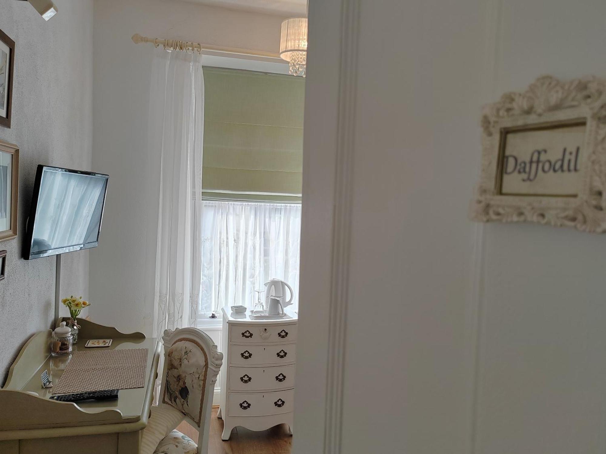 Puddle Duck - Adults Only 4*